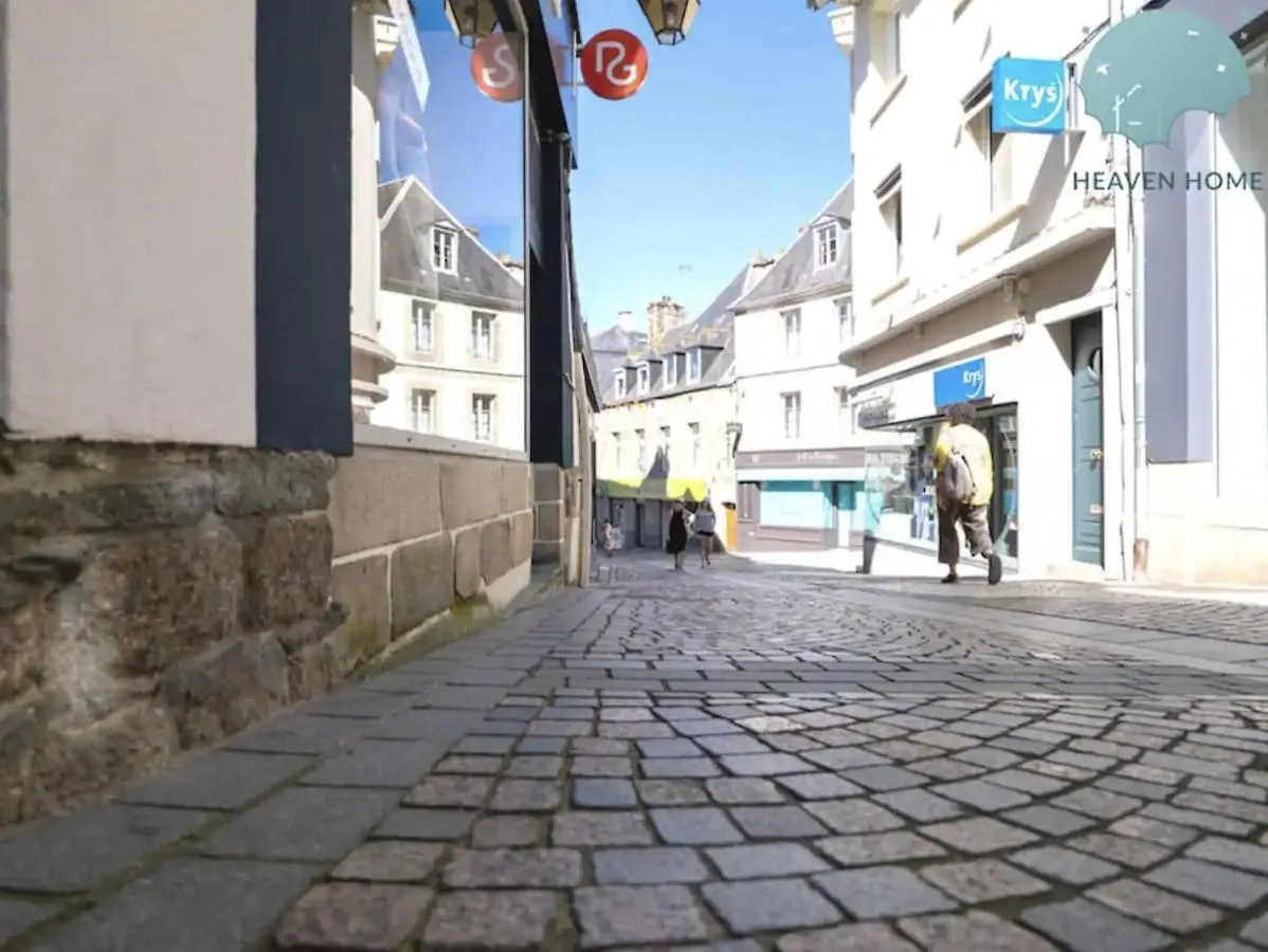 Grand Appartement Loft Lannion Centre T4